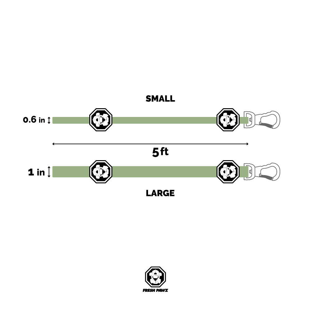 Industrial Belt | Leash