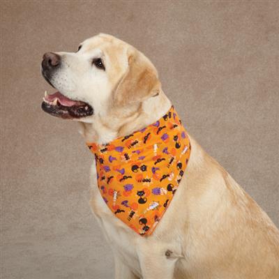 Aria Spooky Bandana, Orange