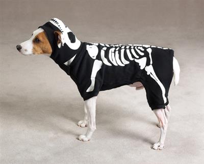 Casual Canine Glow Bones Costume