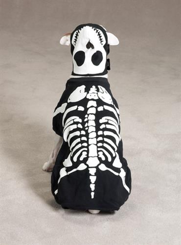 Casual Canine Glow Bones Costume