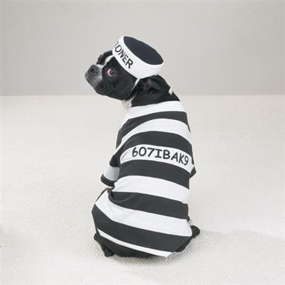 Casual Canine Prison Pooch Costume