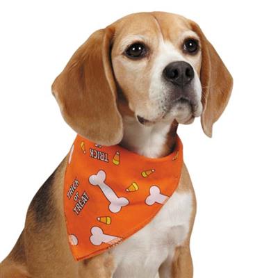 Aria Trick Or Treat Dog Bandanas