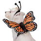 Zack & Zoey Butterfly Glow Wings Harness Costume