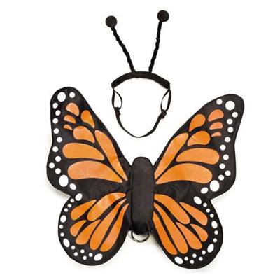 Zack & Zoey Butterfly Glow Wings Harness Costume