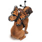 Zack & Zoey Butterfly Glow Wings Harness Costume