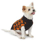 Zack & Zoey Jack O' Pumpkin Sweater Halloween