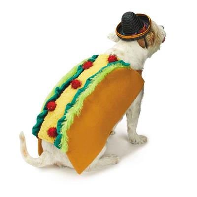 Casual Canine Tasty Taco & Sombrero Costume