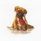 The Boxer B2338L Counted Cross-Stitch Kit