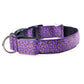 Fashion Leopard Adjustable Led Dog Collar