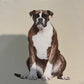 Sitting Boxer T shirt Realistic