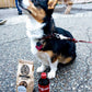 Original Beer Paws Peanut Butter Flavor Beer Biscuits Craft Beer