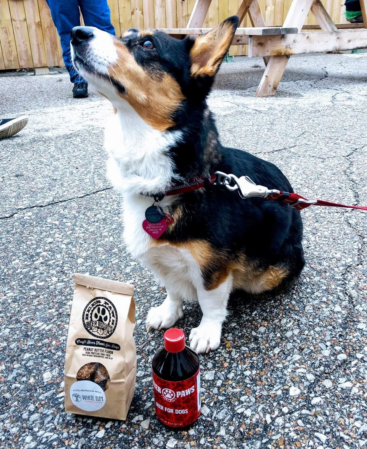 Original Beer Paws Peanut Butter Flavor Beer Biscuits Craft Beer