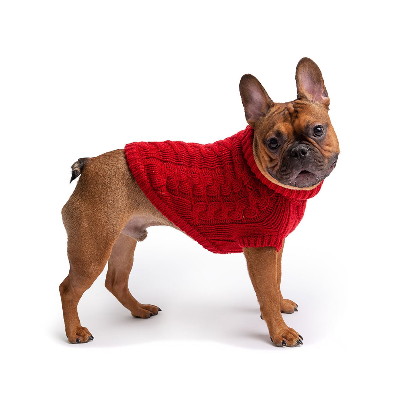 Chalet Dog Sweater - Red