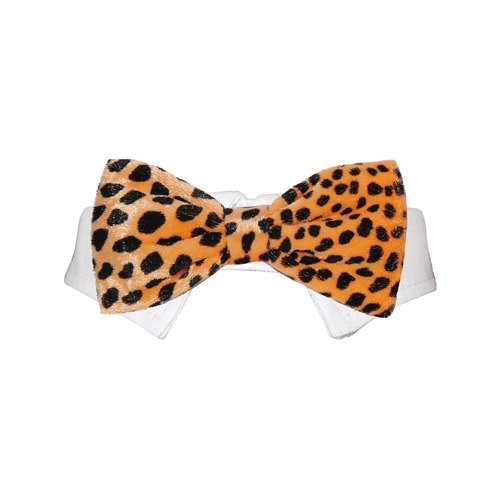 Roberto Bow Tie - Orange