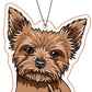 Yorkie with an Attitude